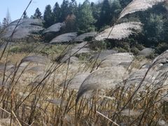 -山王坪喀斯特国家生态公园