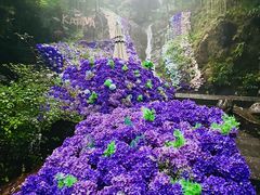 -山沟沟景区