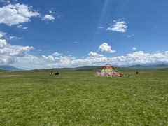 景点-祁连山草原