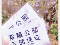 -嘉定紫藤园