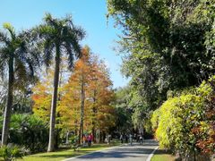 -中国科学院西双版纳热带植物园
