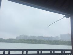 -天鹅湖体育公园