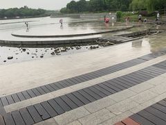 -南翔镇银翔湖公园