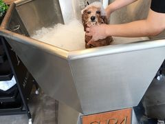 -PETKIT小佩宠物(古北店)