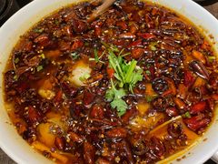 -铁公鸡·四川料理(天环广场店)