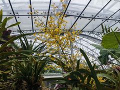 -北京植物园-展览温室