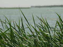 -包头南海湿地景区