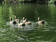 -西湖游船