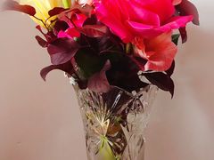 -BEAST野兽派(上海浦东嘉里城店)