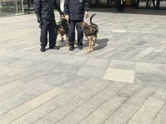-首创奥特莱斯(北京店)