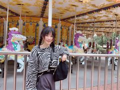 -南京银杏湖乐园