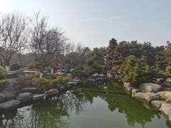-中国唐苑