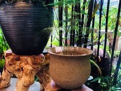 -三峡古玩城(泰古广场店)