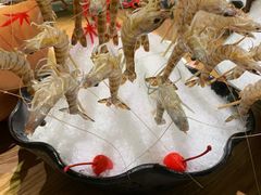 -尚海豆捞(乐虹坊店)