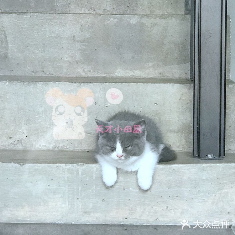 店内能选择的款式很多，对应的假发，有小姐姐帮忙化妆