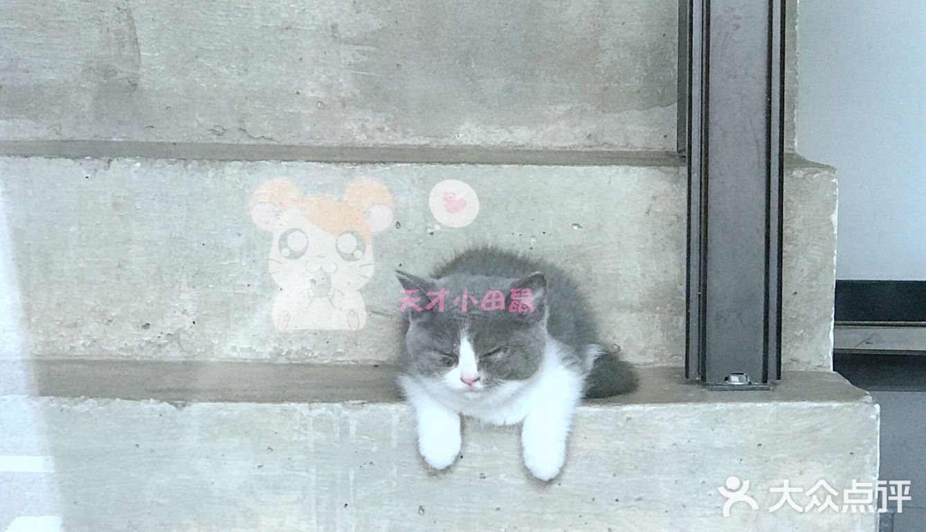 店内能选择的款式很多，对应的假发，有小姐姐帮忙化妆