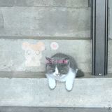 店内能选择的款式很多，对应的假发，有小姐姐帮忙化妆