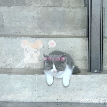 店内能选择的款式很多，对应的假发，有小姐姐帮忙化妆