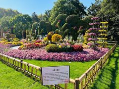 -上海共青森林公园