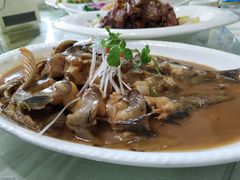 -添福来墨鱼饺子 · 海鲜东北菜(大连星海·黄浦路店)