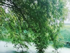 -贵阳市花溪国家城市湿地公园