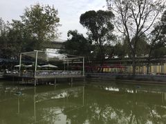 -白鹭湾湿地公园