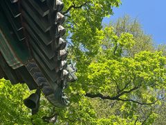 -潭柘寺景区