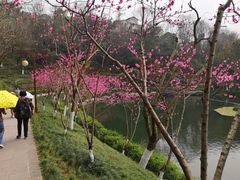 -重庆彩云湖湿地公园