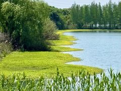 -南湖湿地公园