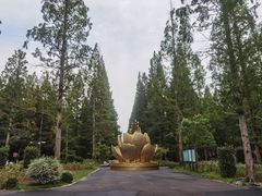 -东平国家森林公园