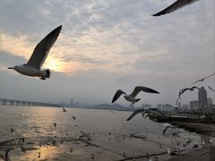 -星海广场