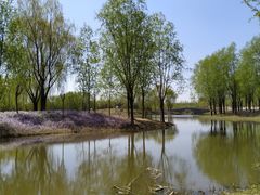 -东郊湿地公园