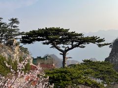 -圣莲山风景区
