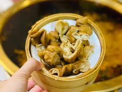 尛尛老卤肥肠-符淼淼火锅(宽窄巷子店)