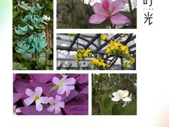 -华南国家植物园-售票处