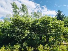 -长春公园(普阳街道)