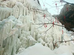 -黑龙潭风景区