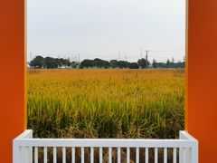 -嘉北郊野公园
