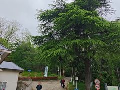 -九华山公园