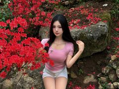 -洛阳白云山景区