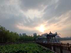 -莲花池公园