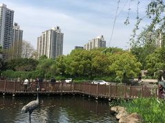 -苏州河梦清园环保主题公园