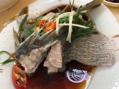 清蒸海鱼-阿古海鲜大排档(青澳湾自然之门六年好店)