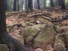 -火炉山森林公园