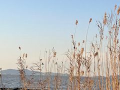 -东山风景区(洞庭东山)