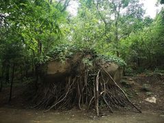 -白水寺森林公园
