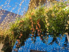 -烛影拾光观景餐厅·创意菜·摄影·小提琴(大唐不夜城店)