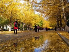 -辽宁大学(崇山校区)