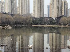 -木塔寺遗址生态公园