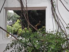 -日出青木